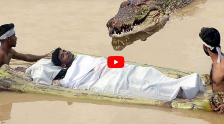 Giant crocodile sheltering in the river suddenly emerged to eat people, causing people to panic (video)